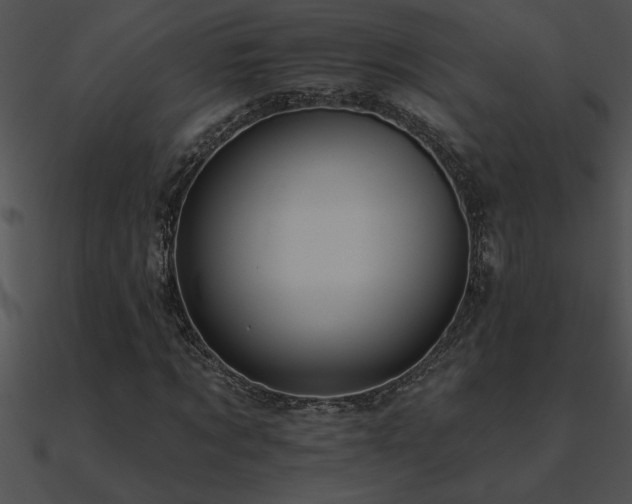 X0000090980869200708021456