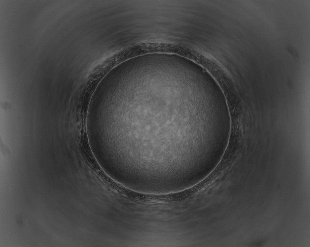X0000090980870200708021456