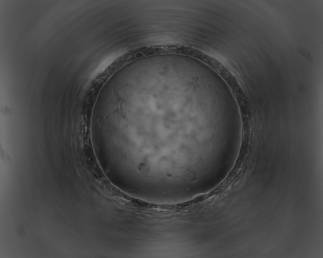 X0000090980871200708021456