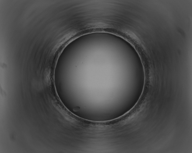 X0000090980873200708021456