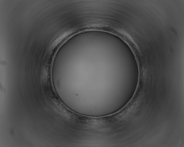 X0000090980874200708021456