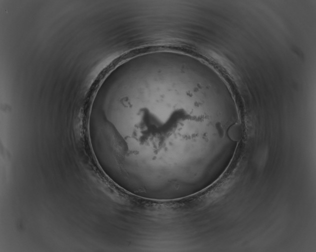 X0000090980875200708021456