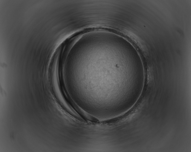 X0000090980876200708021456