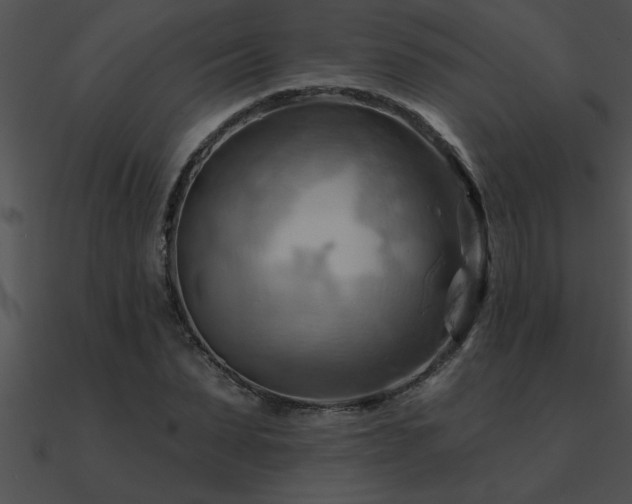 X0000090980879200708021456