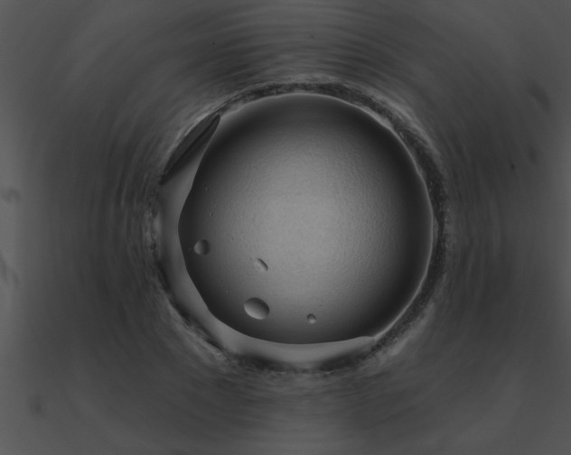 X0000090980881200708021456