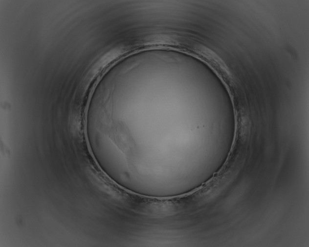 X0000090980882200708021456