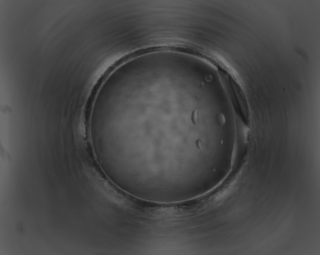 X0000090980883200708021456