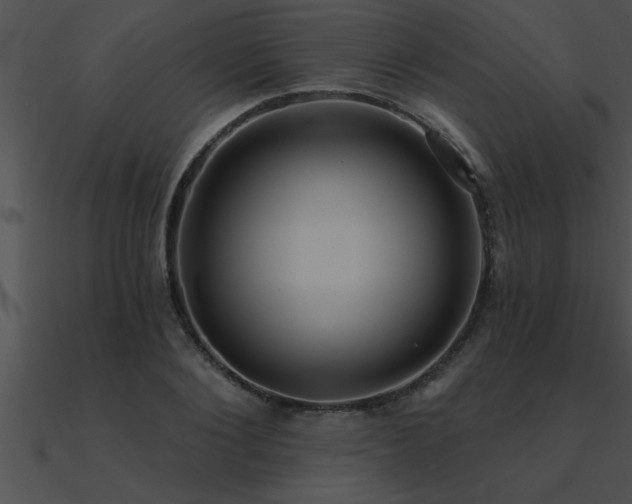 X0000090980884200708021456