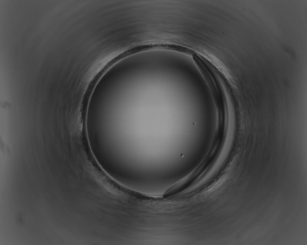 X0000090980885200708021456