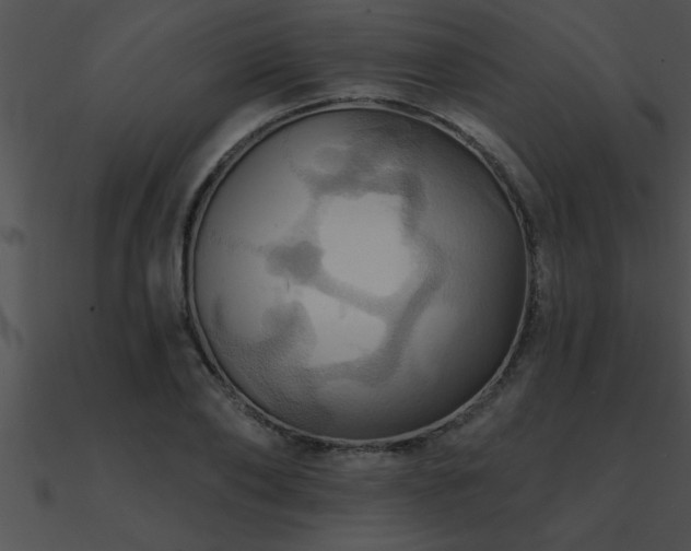 X0000090980886200708021456