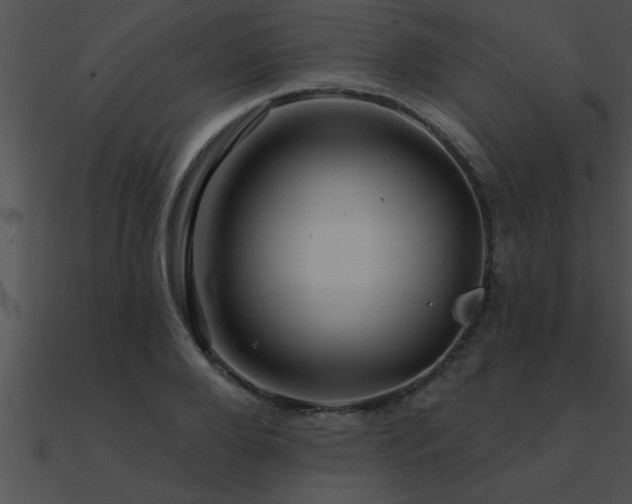 X0000090980888200708021456