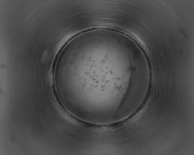 X0000090980891200708021456
