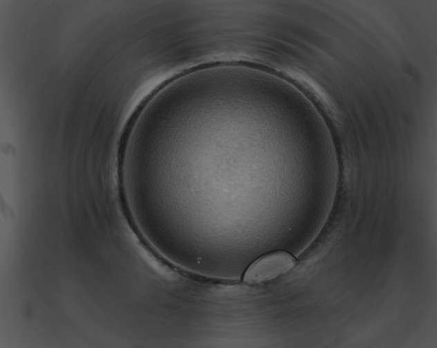 X0000090980894200708021456