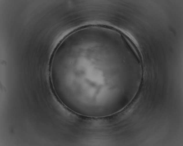 X0000090980895200708021456