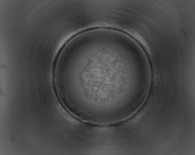 X0000090980896200708021456