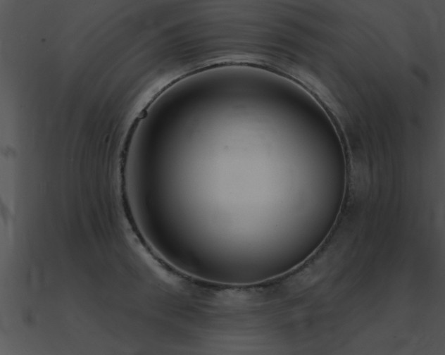 X0000090980898200708021456