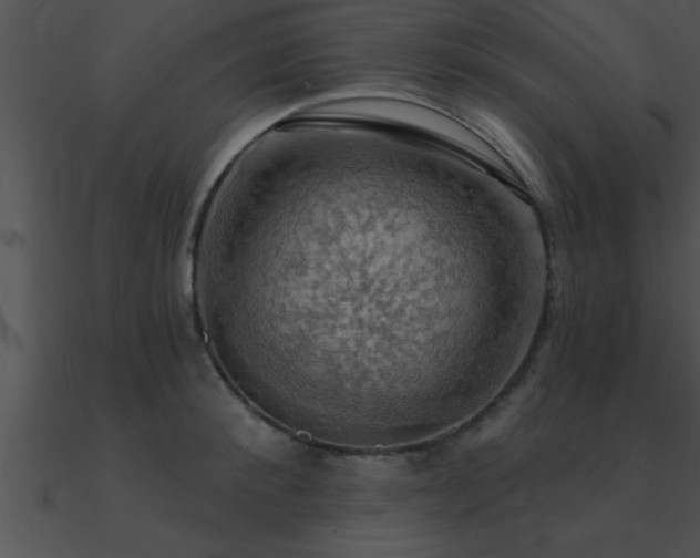 X0000090980900200708021456
