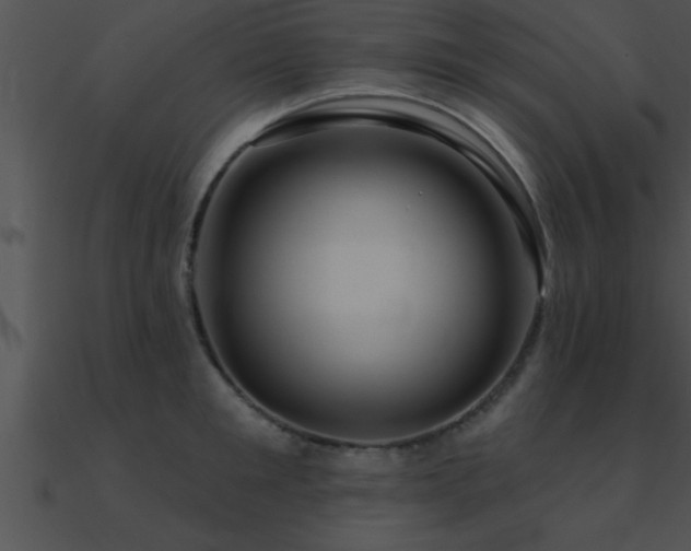 X0000090980901200708021455