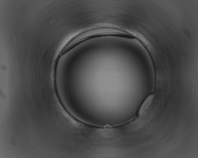 X0000090980902200708021455