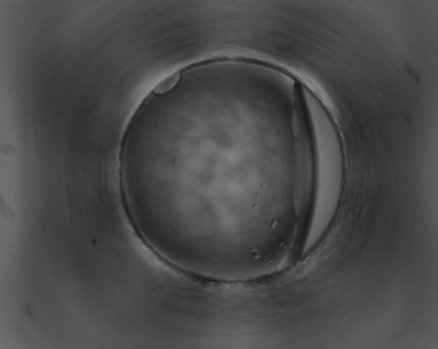X0000090980903200708021455
