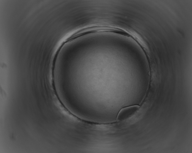X0000090980904200708021455