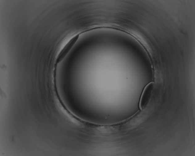 X0000090980906200708021455