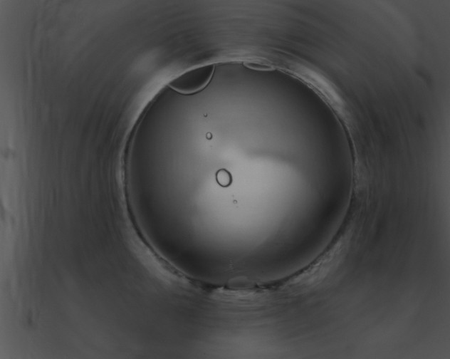 X0000090980907200708021455