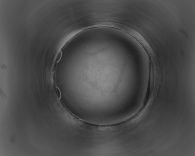 X0000090980908200708021455