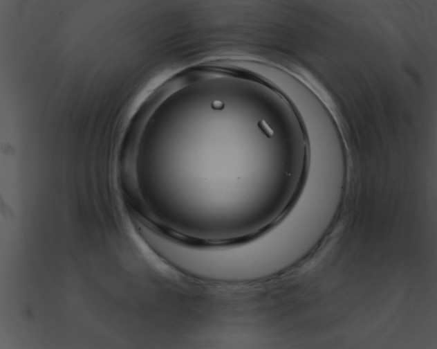 X0000090980909200708021455