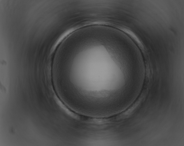 X0000090980910200708021455