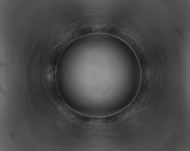 X0000090980914200708021455