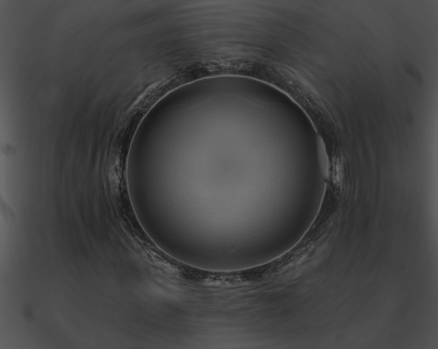 X0000090980915200708021455