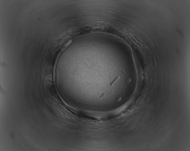 X0000090980916200708021455
