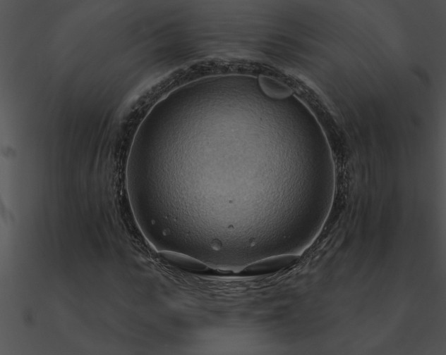 X0000090980919200708021455