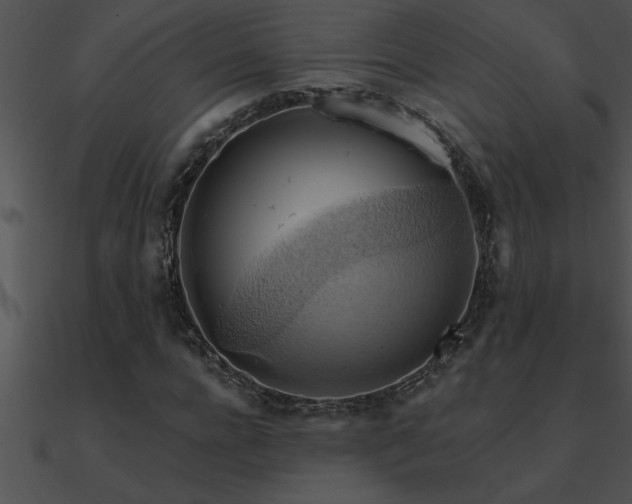 X0000090980920200708021455