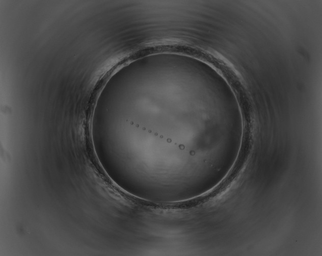 X0000090980921200708021455