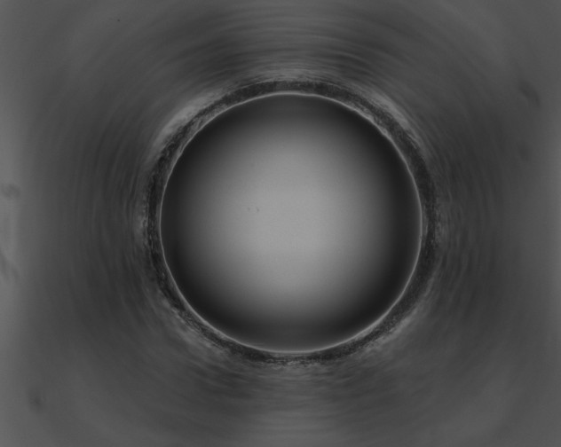 X0000090980922200708021455