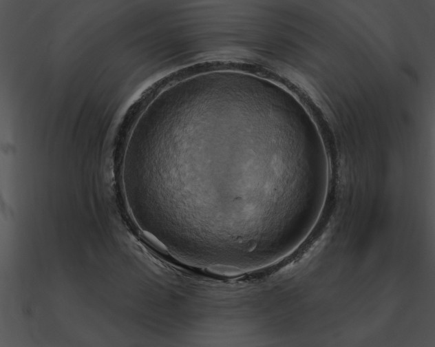 X0000090980923200708021455