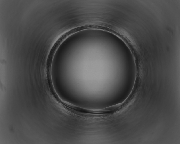 X0000090980924200708021455