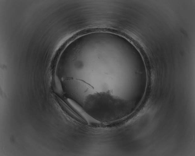 X0000090980925200708021455