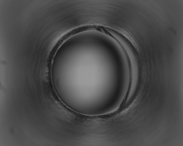 X0000090980926200708021455
