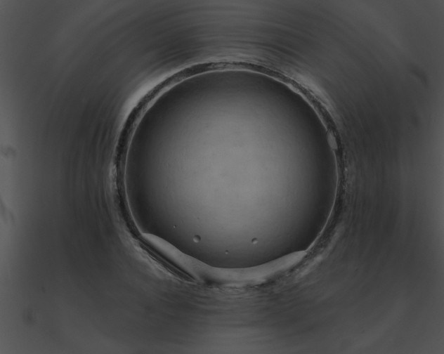X0000090980928200708021455