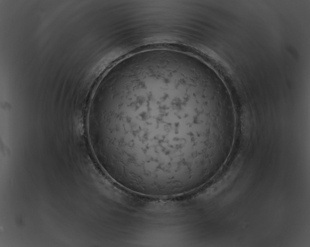X0000090980929200708021455