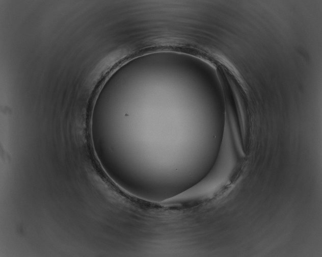 X0000090980930200708021455