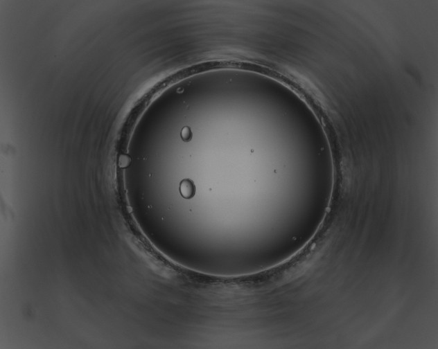 X0000090980931200708021455
