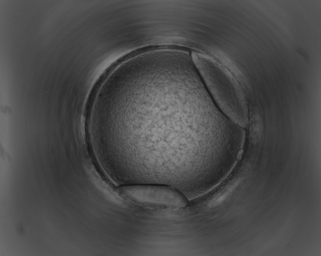 X0000090980932200708021455