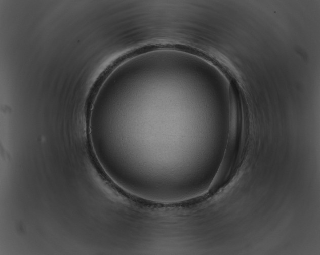 X0000090980934200708021455