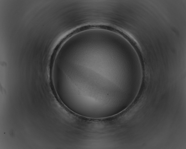 X0000090980935200708021455