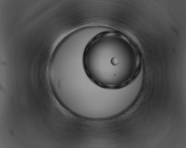 X0000090980936200708021455