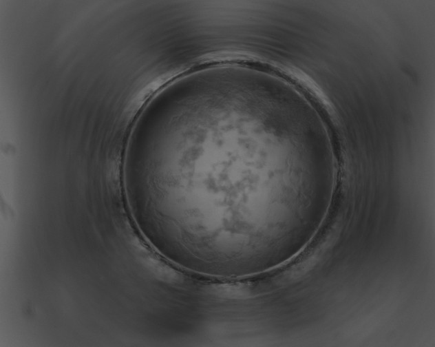 X0000090980937200708021455